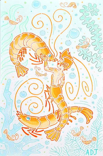 Shrimp merboy